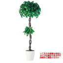 【最大5%OFFクーポン配布中】観葉植物 人工 樹木 フィッカスベンジャミナダブル 高さ1500mm Mサイズ 鉢:RP-300 完成品