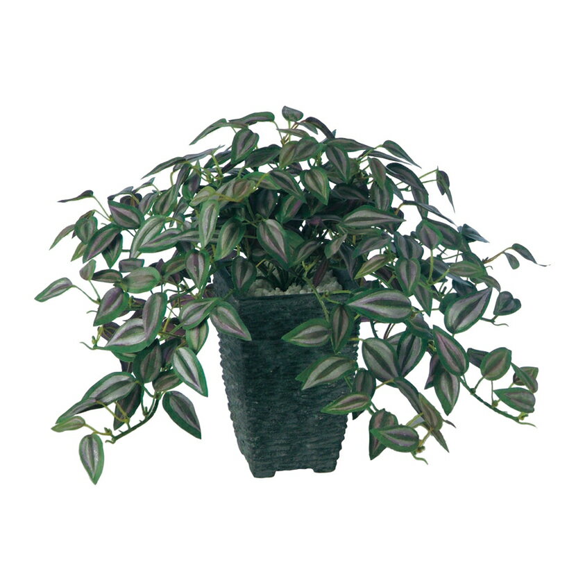 観葉植物 人工 樹木 セブリナ 高さ250mm 卓上サイズ 鉢:Pスクエア(BK) 完成品