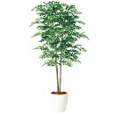 【最大5%OFFクーポン配布中】観葉植物 人工 樹木 アカシアデュアル 高さ1800mm Lサイズ 鉢:RP-300 完成品