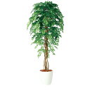 観葉植物 人工 樹木 アカシアリアナ 高さ1800mm Lサイズ 鉢:RP-300 完成品