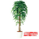 【最大5%OFFクーポン配布中】観葉植物 人工 樹木 アカシアリアナ 高さ1500mm Mサイズ 鉢:RP-300 完成品