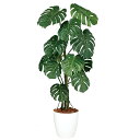 【最大5%OFFクーポン配布中】観葉植物 人工 樹木 モンステラバイン 高さ1500mm Mサイズ 鉢:RP-300 完成品