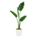 【最大5%OFFクーポン配布中】観葉植物 人工 樹木 ストレリチア・オーガスタ 高さ1300mm Sサイズ 鉢:RP-225 完成品