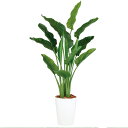 【最大5%OFFクーポン配布中】観葉植物 人工 樹木 ストレリチア・オーガスタ MIX 高さ1700mm Mサイズ 鉢:クォーツ300 完成品