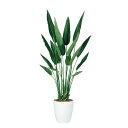 観葉植物 人工 樹木 ストレリチア・レギネ 高さ1400mm Mサイズ 鉢:RP-265 完成品(4)