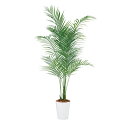 観葉植物 人工 樹木 アレカヤシPE 高さ1800mm Lサイズ 鉢:クオーツ240 完成品