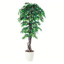 【最大5%OFFクーポン配布中】観葉植物 人工 樹木 フィッカスベンジャミナリアナ 高さ1800mm Lサイズ 鉢:RP-300 完成品
