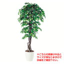 【最大5%OFFクーポン配布中】観葉植物 人工 樹木 フィッカスベンジャミナリアナ 高さ1500mm Mサイズ 鉢:RP-300 完成品