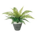 観葉植物 人工 樹木 レザーファン 高さ350mm Pサイズ 鉢:PラウンドS(BK) 完成品
