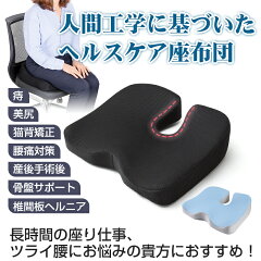 腰痛 クッション オフィス やっぱイチバン