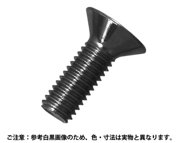 皿頭小ねじ ステンレス 5x12 入数65【コノエ】