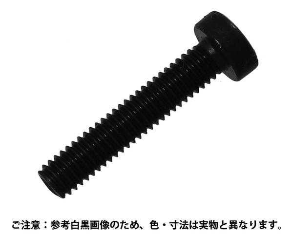 低頭CS ステンレス 3x10 入数16【コノエ】