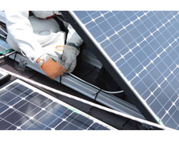 ニトリル手袋粉なしNo.991 ブルー LL 100枚[21]