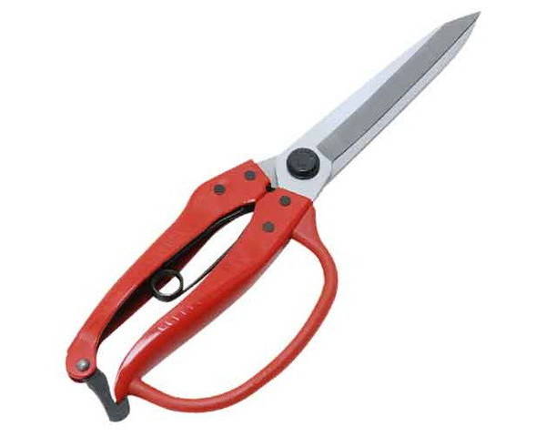 千吉・ガード付葉刈鋏・NO．6【藤原産業】