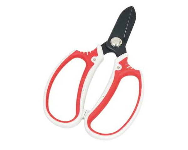 千吉・レディース花鋏・SGP−31【藤原産業】