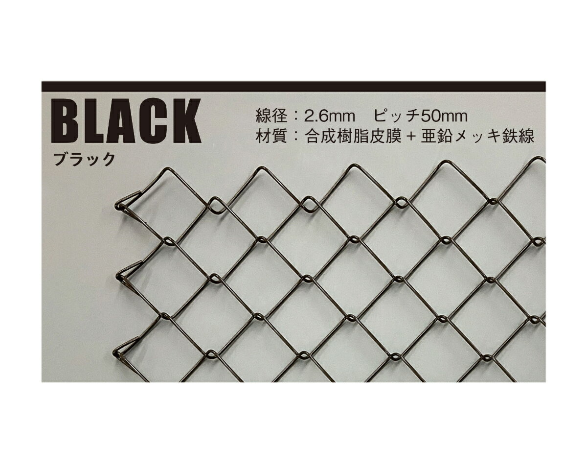 RMEJ69-1 ランバスメッシュ600×900ブラック【光】