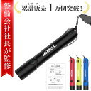 \楽天ランキング1位/【警備会社社長監修】電子ホイッスル 大音量 体育 ブザー バレーボール バスケットボール ホイッスル ホイッスル防災 ホイッスル災害 スポーツ用ホイッスル 軽量電子ホイッスル スポーツ 防水 審判 防犯対策 生活防水 災害対策