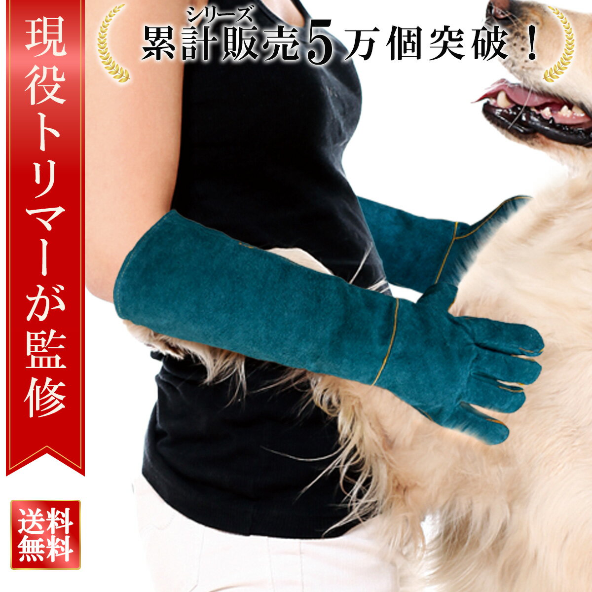 【5と0の日P5倍】\楽天ランキング1位/【現役トリマー監修】ペットグローブ 犬 噛みつき防止 手袋 犬用 猫 ペット 鳥 蛇 爬虫類 噛みつき グローブ 噛む...