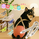 【ポイント10倍】 犬 おむつ サスペンダー 犬用 ペット用 ずれ防止 パンツ 固定 介護 おしゃれ 中型犬 小型犬 サイズ調整可能 オムツ用ズレ防止サポーター