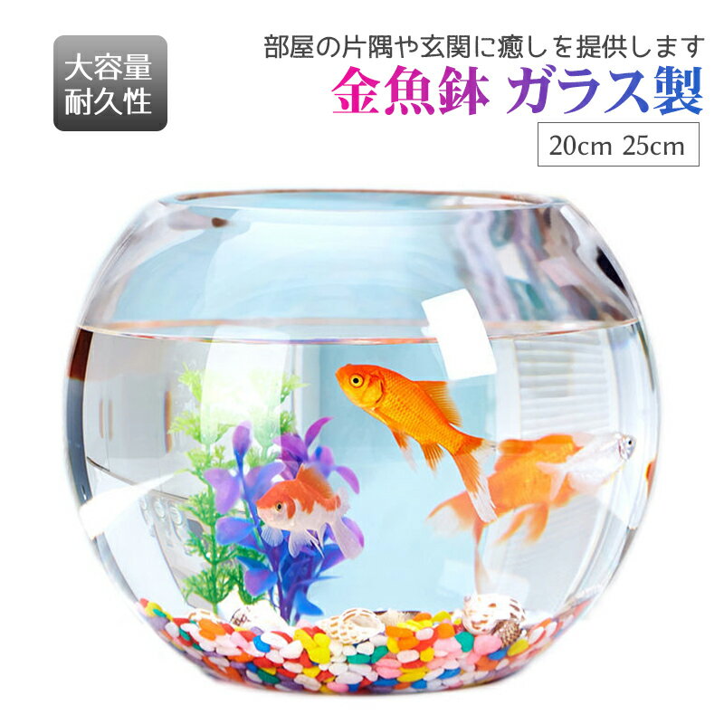 25cm 20cm 金魚鉢 ガラス製 透明 丸 鉢 和風 可愛い ミニ水槽 おしゃれ 多機能 観葉植物を入れて 万能..