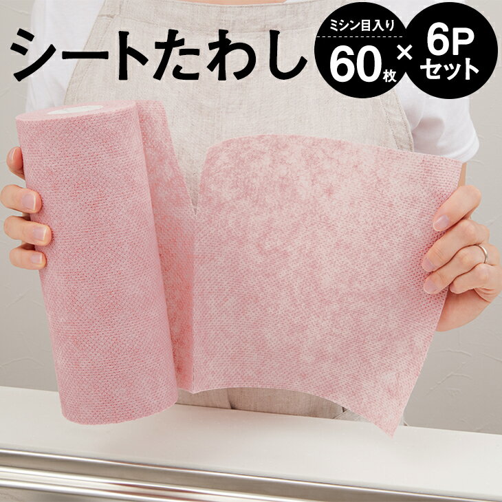 シートたわし60カット【6本】【送料無料】 キッチン 衛生的 研磨剤不使用 アール(使い捨て 食器洗いスポンジ 掃除 グッズ たわし スポンジ 食器洗い 除菌 水切れよい)