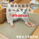 ルームマット ラグ 厚手 極厚 ラグマット クッションラグ 90×135cm ラグカーペット センターラグ 厚さ30mm 厚手 防音 滑り止め オールシーズン