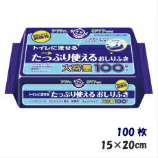 アクティ 楽ケアシリーズ トイレに流せるたっぷり使えるおしりふき 大人用おしりふき 排泄介助 介護 介護用品 流せるタイプ おむつ交換 ノンアルコール 無香料 大人用