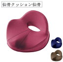 仙骨クッション仙律 骨盤矯正 手軽 健康管理 猫背矯正 福祉 高反発 ウレタンフォーム クッション 自宅 ルビー ネイビー ブラウン 骨盤サポート
