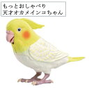 もっとおしゃべり 天才オカメインコちゃん ペット インコ 癒し おしゃべり 歌 童謡 ヒーリング 脳トレ シニア ゲームクイズ タカラトミー