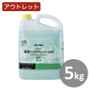アウトレット品 Nスター 薬用ハンドウォッシュVA 5kg 1個売り ハンドソープ 消毒 殺菌 業務用 手洗い