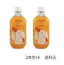 EMW 2本セット　自然のチカラ 500ml 送料無料 EM 環境浄化微生物資材 EM研究所 環境洗剤(エコ洗剤) 衣類用 EM生活 EM-W