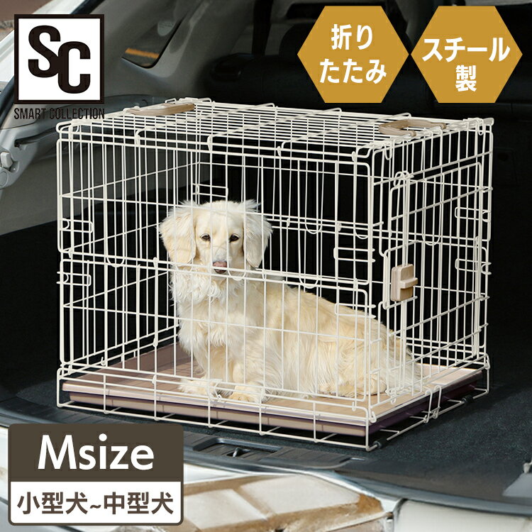   դ ޤꤿߥ 饤ȥʥ M  ޤꤿ ư Ǥ ±