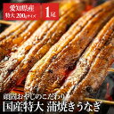 【1尾〜4尾】頑固おやじのこだわり鰻 うなぎ かば焼き 国産 鰻蒲焼 冷凍 200g 愛知県 厳選 愛知県産 土用 Tokka ギフト プレゼント 母の日 父の...