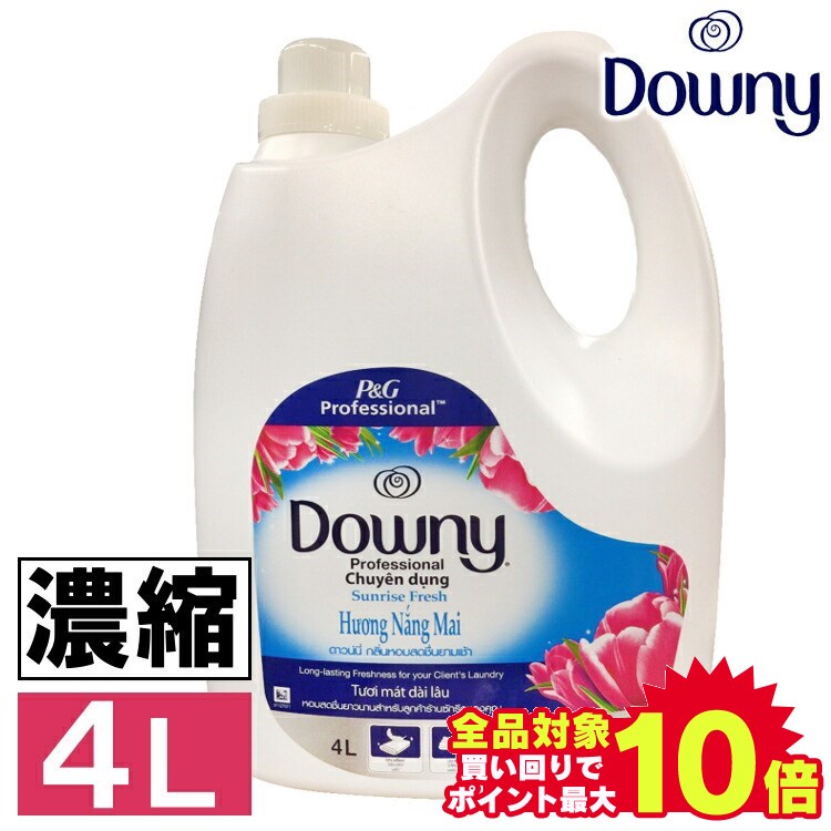 Ķ̲ܶʡˡ 4L 饤եå ѥå˥塼뢨  ˡ ̵ downy  ǻ...