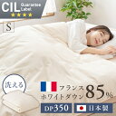 日本製ダウンケット フランスWDD85%0.2kg シングル 無地ベージュ 送料無料 ダウンケット 掛け布団 掛布団 布団 シングルサイズ ホワイトダックダウン ダウン 日本製 【TD】【代引不可】