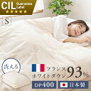 日本製ダウンケット フランスWDD93%0.2kg シングル 無地ベージュ 送料無料 ダウンケット 掛け布団 掛布団 布団 シングルサイズ ホワイトダックダウン ダウン 日本製【TD】【代引不可】