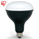 d p e26 LED  led O LDR16D-H  Ɠ led h  Ɠ  [NCg NvCg hJ ho Ɩ hЗp Ə ȓd 펞 퓔 ЊQ h ACXI[} [2403SO]