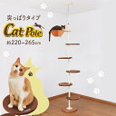 キャットタワー 突っ張り スリム 高さ265cm 猫タワー 省スペース ハンモック おしゃれ キャットポール ボンビ キャットポール ナチュラル ビーンズ マンション 賃貸 送料無料 キャットタワー インテリア 玩具 遊び道具 室内 ペット用品 ペット【D】