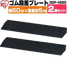 段差プレート ゴム 屋外用 5cm段差 【2枚セット】 4. GDP-4560 ブラック アイリスオーヤマ