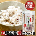 【3袋セット】国内産 五種玄氣米 250g(複数原料米) 送料無料 5種 玄氣米 国内産 玄米 うるち もち ベストアメニティ 【D】【B】 【メール便】