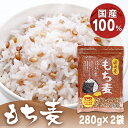 【2袋】国内産もち麦 280g 送料無料 もちもち プチプチ もち麦 食物繊維 β-グルカン ダイシモチ 国内産 ベストアメニティ 【D】【B】 【メール便】