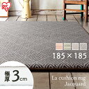 ラグ 厚手 おしゃれ カーペット マット 2.20畳 1820×1820cm ACRJ-1818E/G ジャガード レッド グリーン マット 電気 敷物 リビング ホット オールシーズン 滑止め付 エスニック アイリスオーヤマ