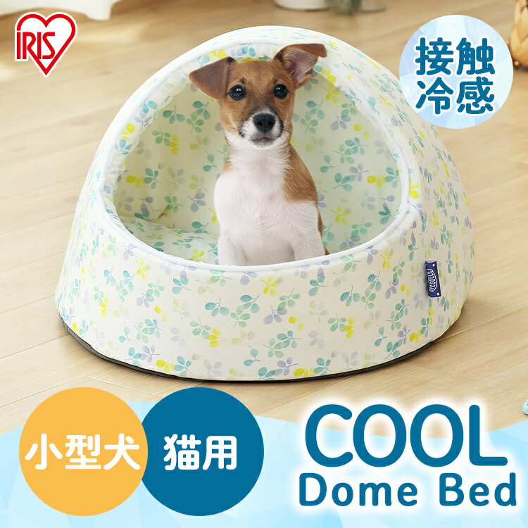 ペットベッド ひんやり ドーム型 Mサイズ 小型犬・猫用 PCDB-21Mペット用クールドームベッド ペット用 クール ドームベッド ペットベッド ドーム型 家 室内 犬 イヌ いぬ 猫 ネコ ねこ 春 夏 涼しい 冷たい アイリスオーヤマのサムネイル