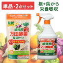 万田酵素 植物用 粒状 300g ストレート スプレー 900ml 肥料 野菜 液肥 液体肥料 植物 活力剤 園芸 花 畑 農園 施肥 果樹園 家庭菜園 ガーデ...