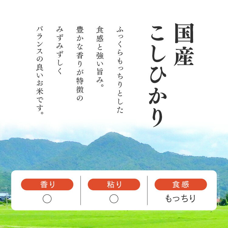 パックご飯 150g 選べる 24食・40食 アイリスオーヤマ 送料無料 こしひかり レトルトご飯 レトルトごはん 備蓄用 防災 常温保存可 保存食 非常食 一人暮らし 仕送り 低温製法米のおいしいごはん アイリスフーズ【SPKO】 3