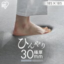 ラグ マット 185×185 ラ・クッションラグ 接触冷感 ACR2C-1818 グレー ブルー ラグ マット 185×185 2畳用 接触冷感 極厚 撥水 はっ水 防音 すべり止め ひんやり 子供 ペット 夏 Simple Style アイリスオーヤマ