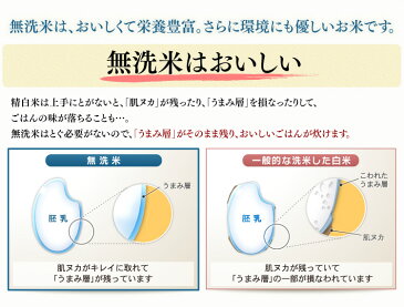 【無洗米 10kg お米 白米】【送料無料】低温製法米　無洗米　宮城県産つや姫　5kg×2　アイリスオーヤマ米