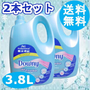 柔軟剤 ダウニー アジアンダウニー 3.8L 2本セット送料無料 オドープリベンション downy 大容量 濃縮 濃縮タイプ 本体 特大 洗濯 ボトル ランドリー 液体 輸入柔軟剤 液体柔軟剤 洗濯柔軟剤 洗濯用 洗濯用品 輸入 セット アジア【D】 あす楽