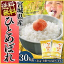 30年度産 TRS 宮城ヒトメボレ 5kg×6送料無料 米 ...