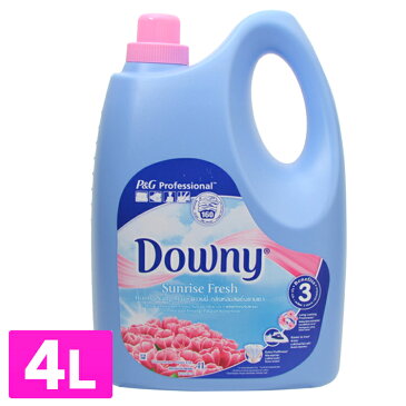 柔軟剤 ダウニー アジアンダウニー 4L サンライズフレッシュ送料無料 downy 大容量 濃縮 濃縮タイプ 本体 特大 洗濯 ボトル ランドリー 液体 輸入柔軟剤 液体柔軟剤 洗濯柔軟剤 洗濯用 洗濯用品 輸入 アジア 【D】